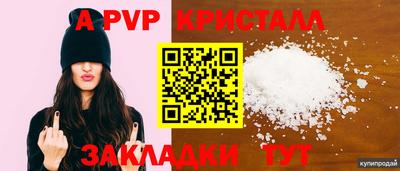 гашик Кандалакша