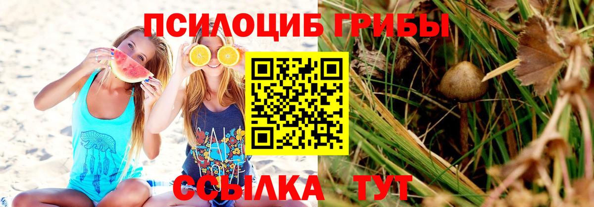 как найти закладки  Кувандык  Псилоцибиновые грибы MAGIC MUSHROOMS 