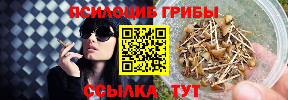 Кувандык  Псилоцибиновые грибы мицелий  Вход с VPN  Псилоцибиновые грибы Cubensis 